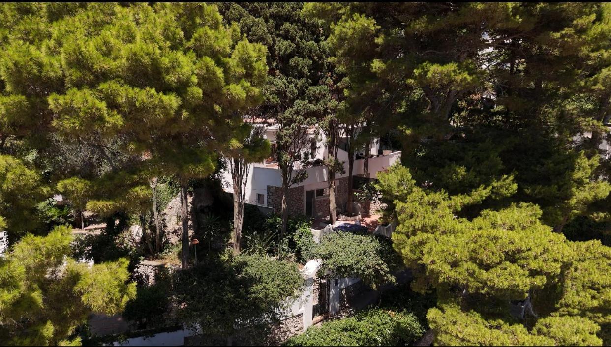 Casa Schiattarella * Capri